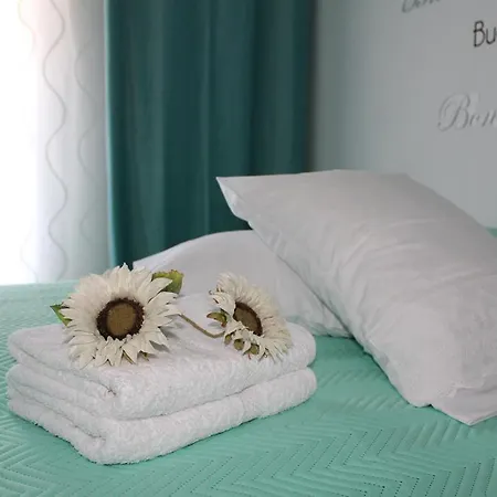 Casa Do Rio - Penacova * Raiva