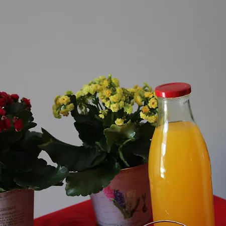 Casa Do Rio - Penacova