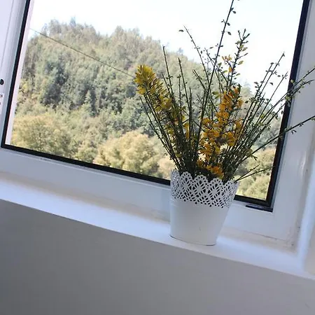 Casa Do Rio - Penacova Prázdninový dům *