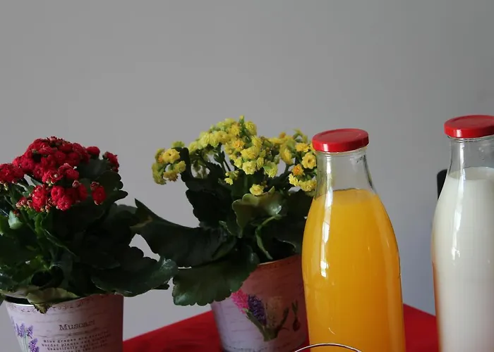 Casa Do Rio - Penacova