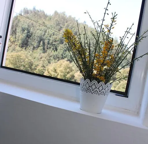 Casa Do Rio - Penacova Nyaraló *